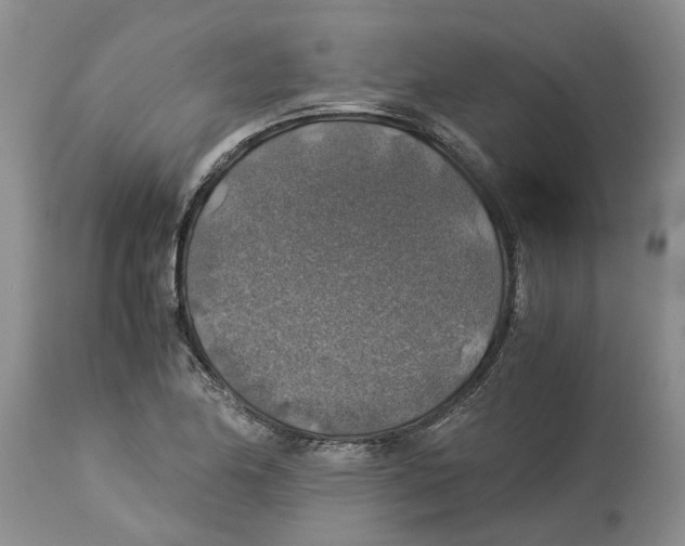 X0000114171174200911051521