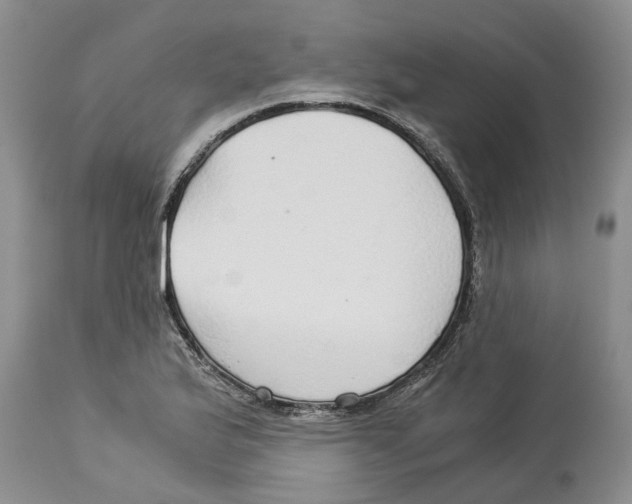 X0000114171175200911051521