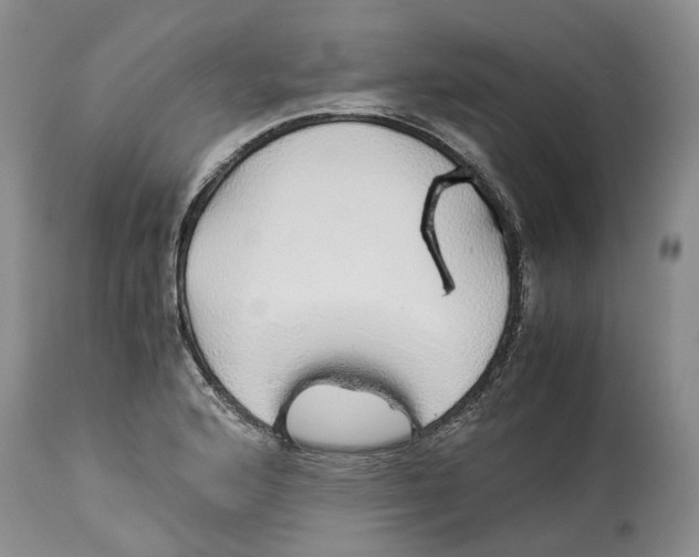 X0000114171176200911051521