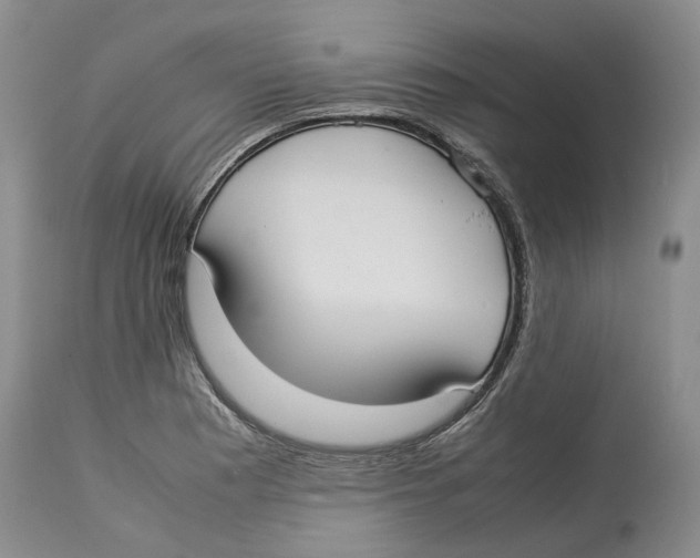 X0000114171177200911051521