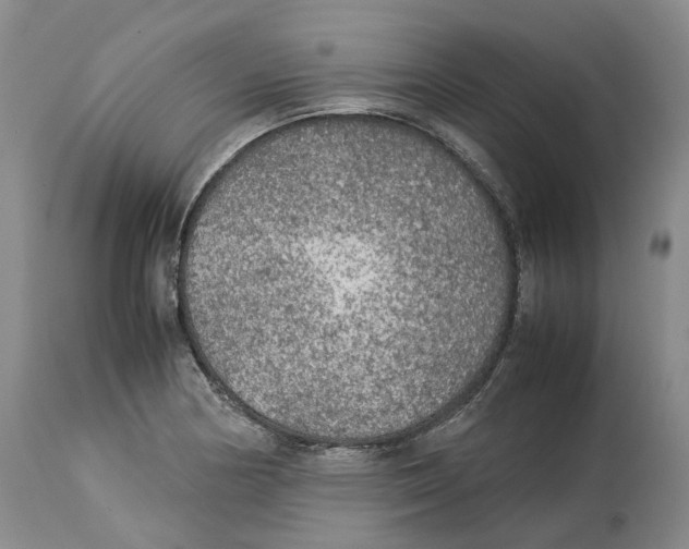 X0000114171178200911051521