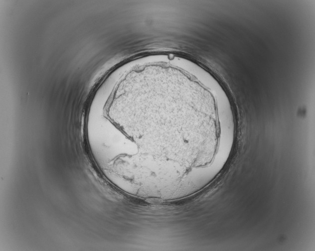 X0000114171179200911051521