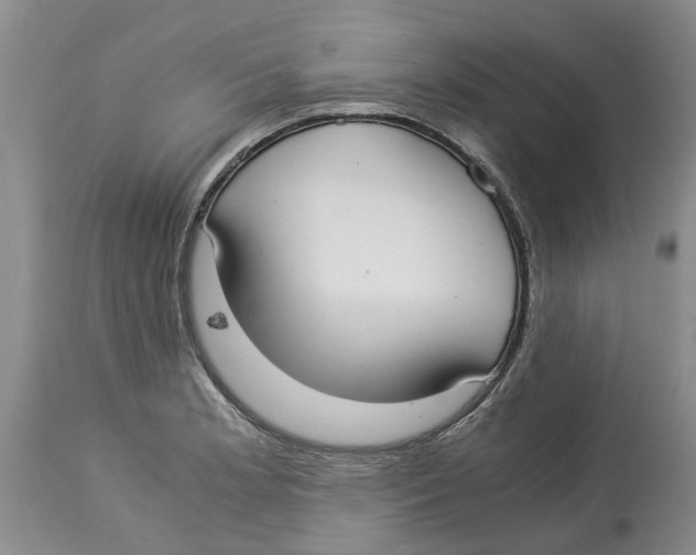 X0000114171181200911051521