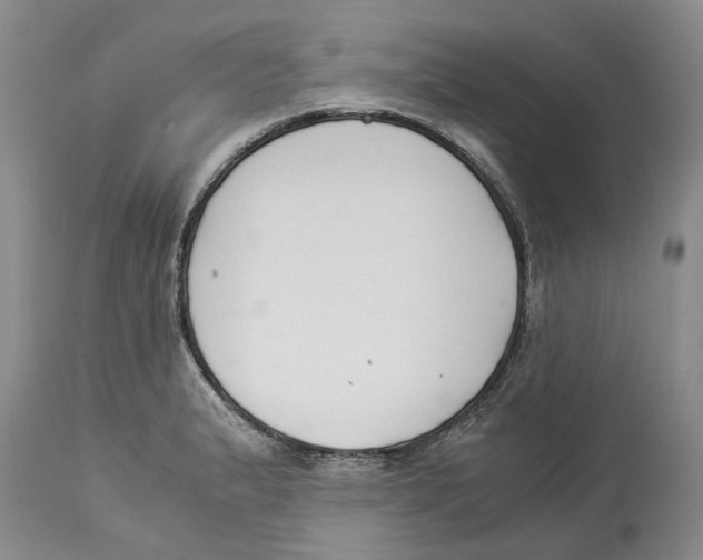 X0000114171183200911051521