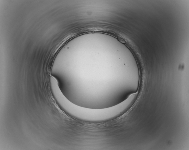 X0000114171185200911051521