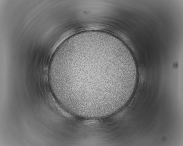 X0000114171186200911051521