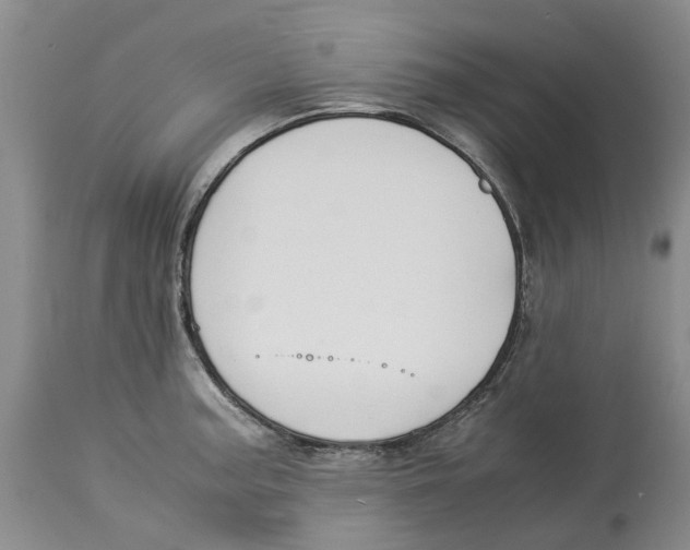 X0000114171187200911051521