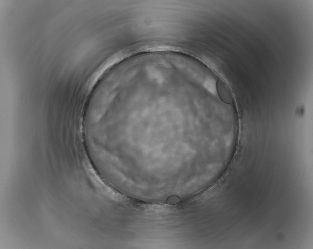 X0000114171189200911051521