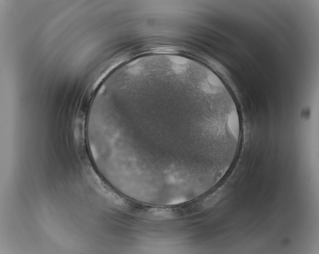 X0000114171194200911051520