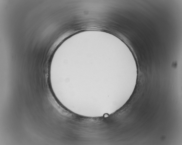 X0000114171195200911051520