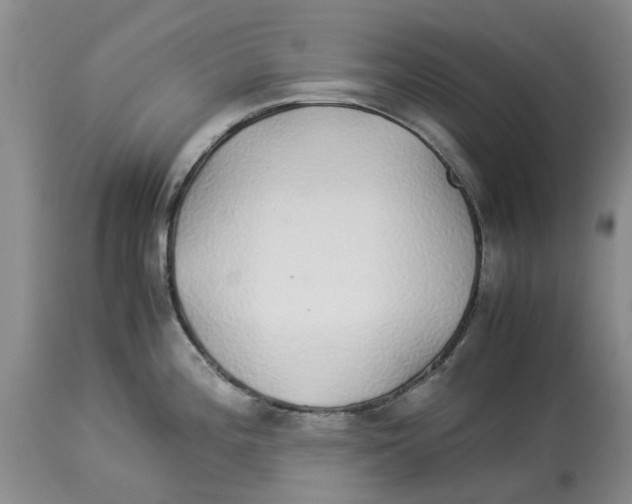 X0000114171196200911051520