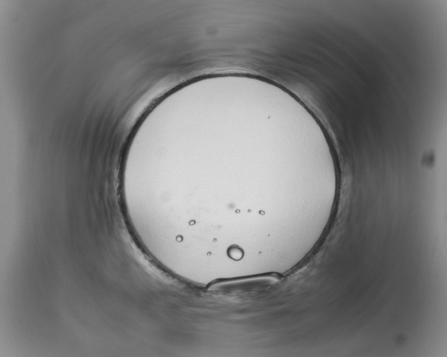 X0000114171197200911051520