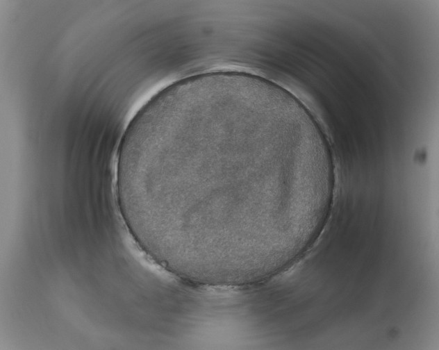 X0000114171198200911051520