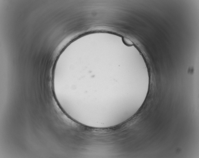 X0000114171199200911051520