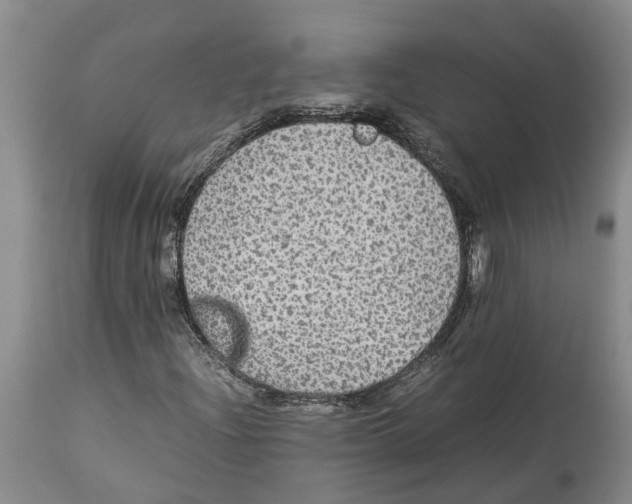 X0000114171204200911051520