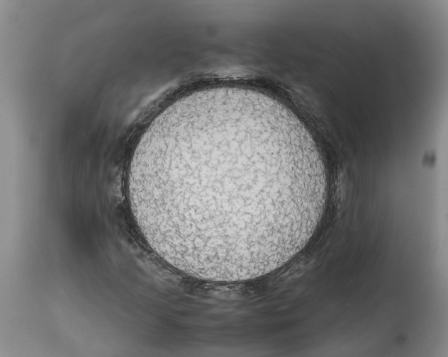 X0000114171205200911051520