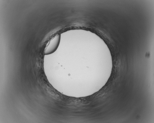 X0000114171207200911051520