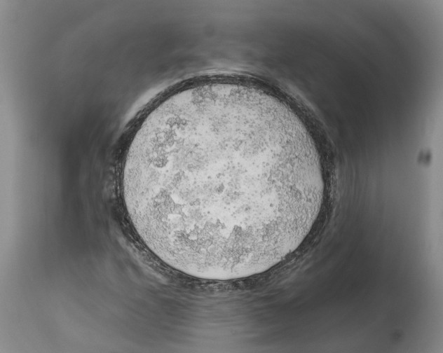 X0000114171208200911051520