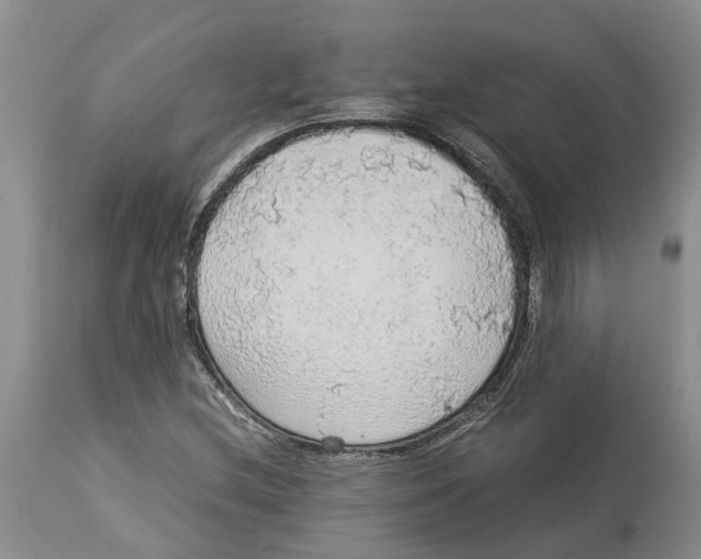 X0000114171212200911051520