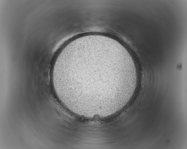 X0000114171214200911051520