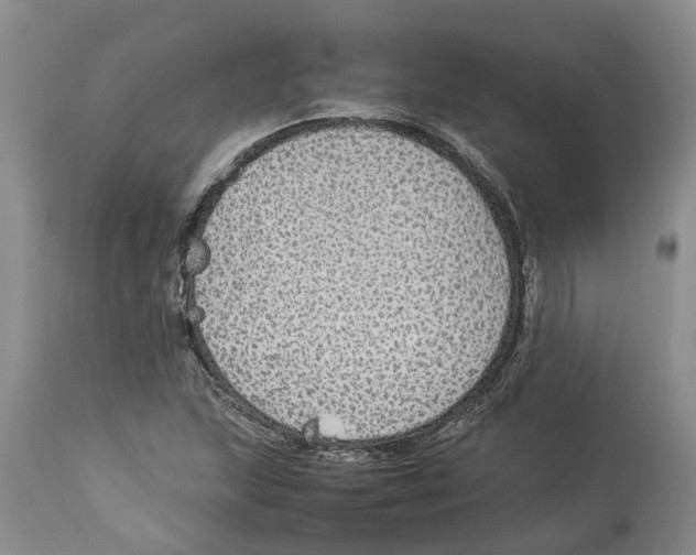 X0000114171215200911051520