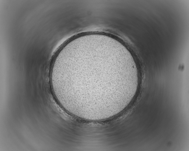 X0000114171216200911051520