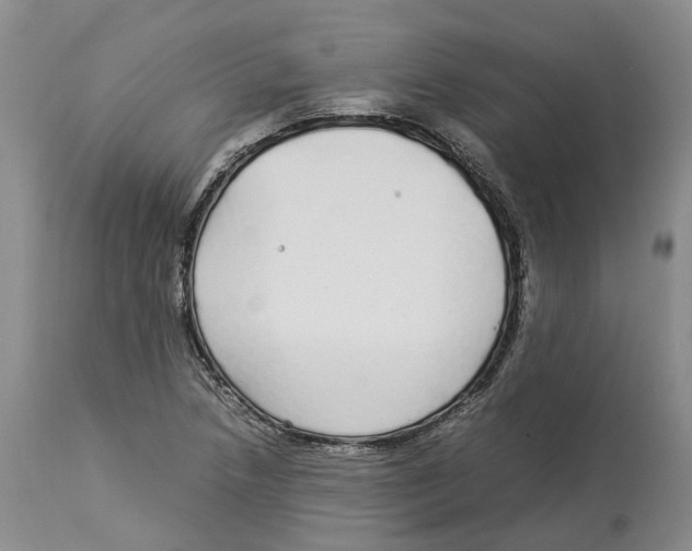 X0000114171218200911051520