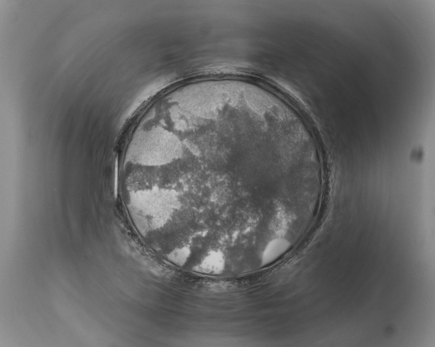 X0000114171219200911051520