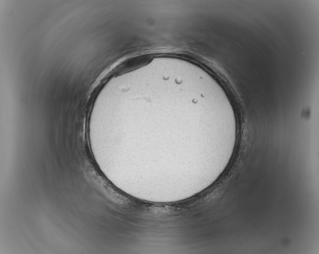 X0000114171220200911051520