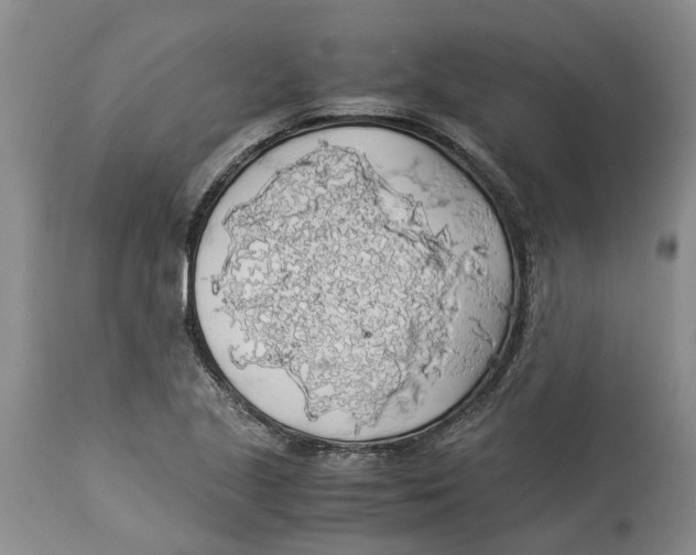 X0000114171221200911051520