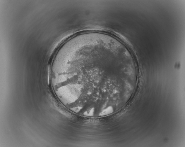 X0000114171223200911051520