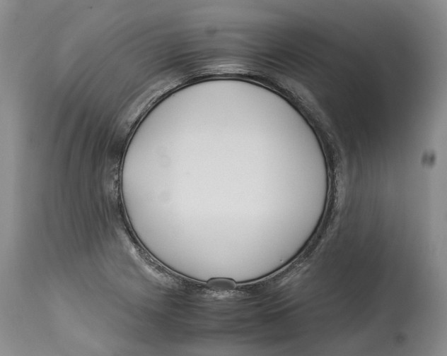 X0000114171225200911051520