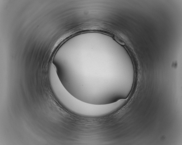 X0000114171226200911051520