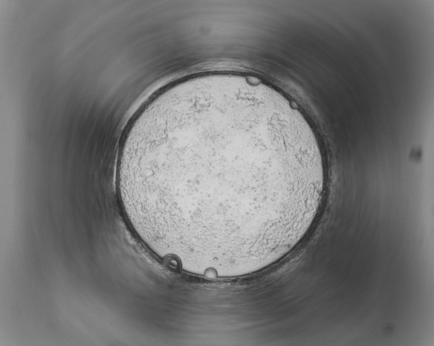 X0000114171228200911051520