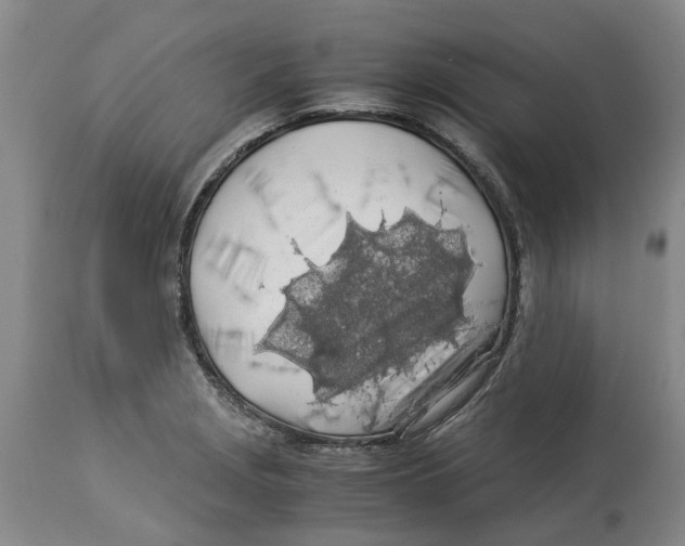 X0000114171229200911051520