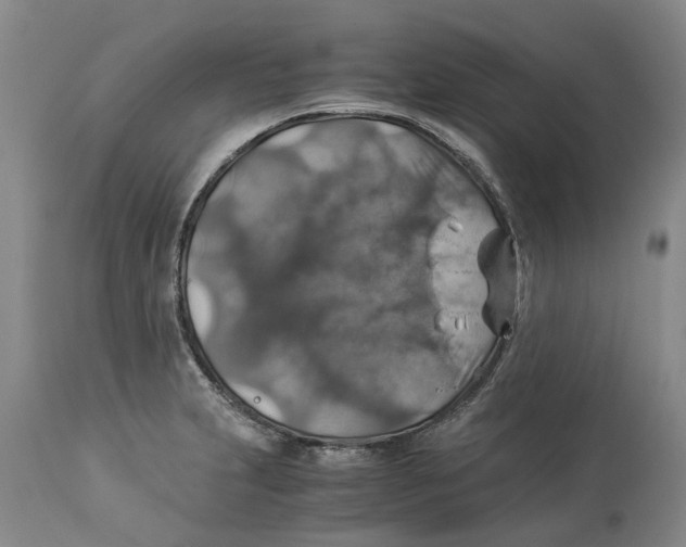 X0000114171231200911051520