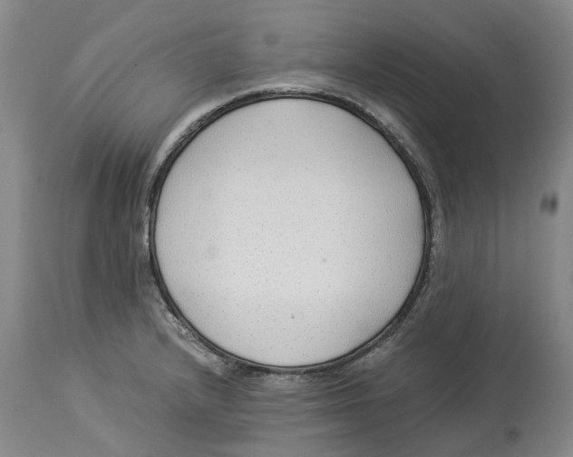 X0000114171232200911051520