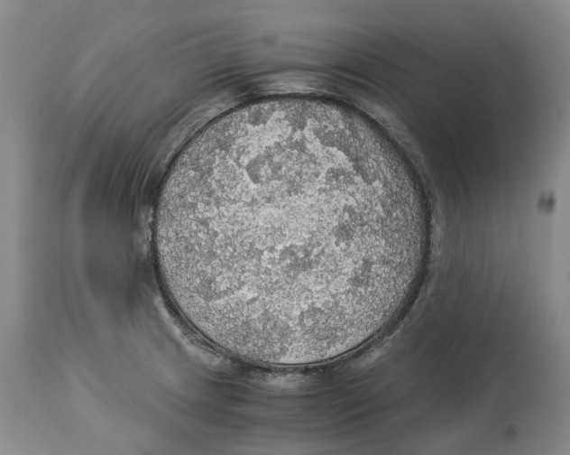 X0000114171233200911051520