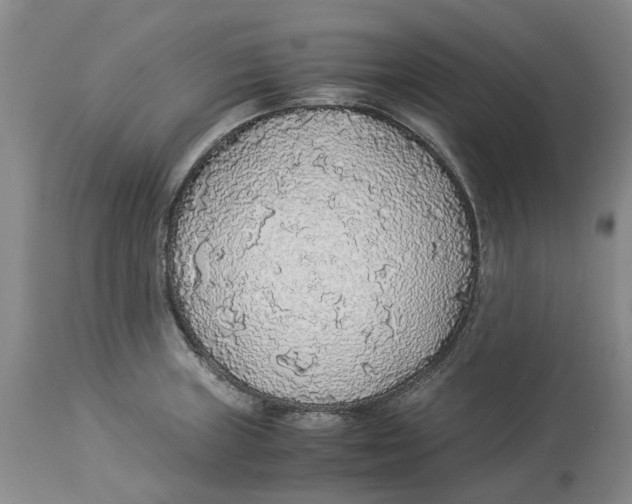 X0000114171235200911051520