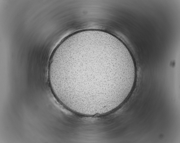 X0000114171236200911051520