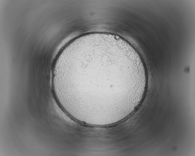 X0000114171238200911051520