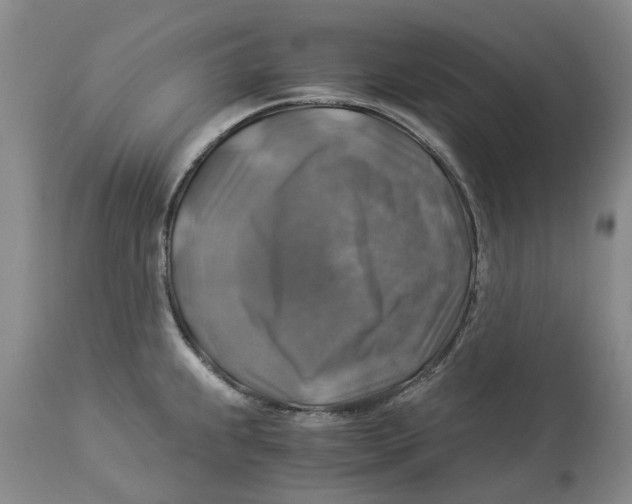 X0000114171239200911051520