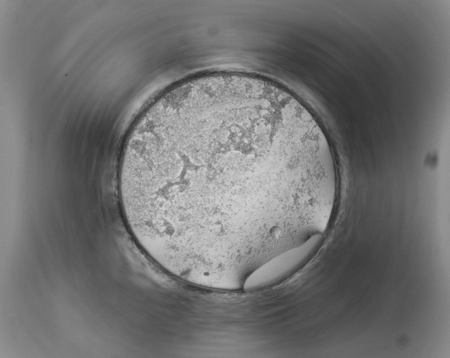 X0000114171240200911051520