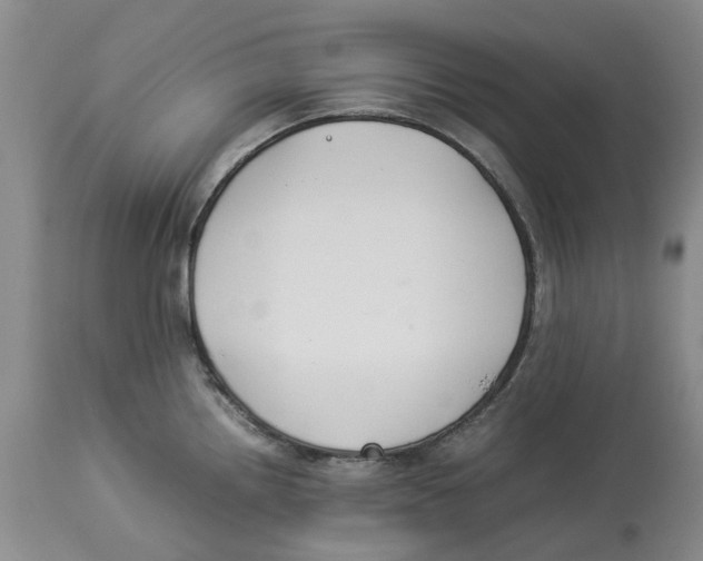 X0000114171242200911051520