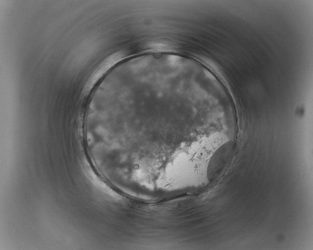 X0000114171243200911051520