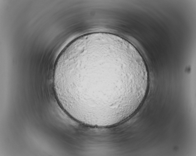 X0000114171244200911051520