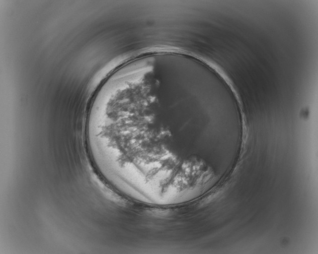 X0000114171245200911051520