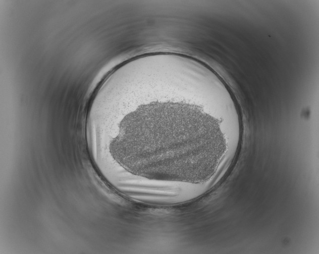 X0000114171246200911051520