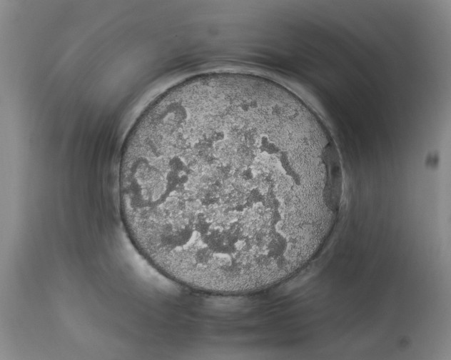 X0000114171247200911051520