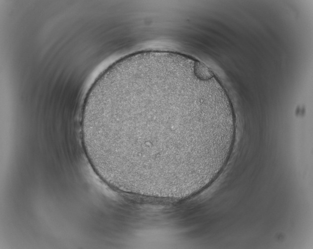 X0000114171248200911051520